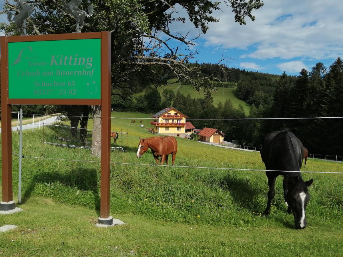 Urlaub Am Bauernhof Familie Kitting Villa Vorau Exteriör bild