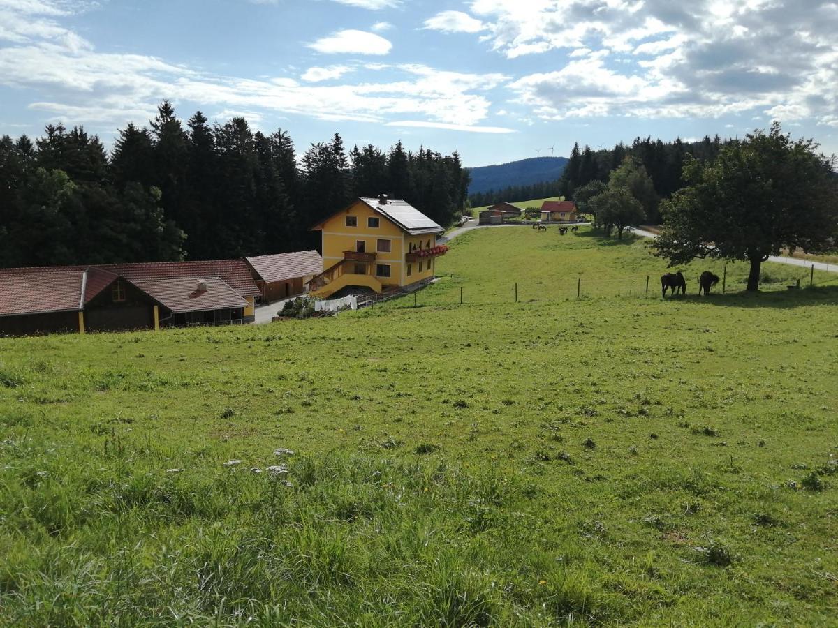Urlaub Am Bauernhof Familie Kitting Villa Vorau Exteriör bild