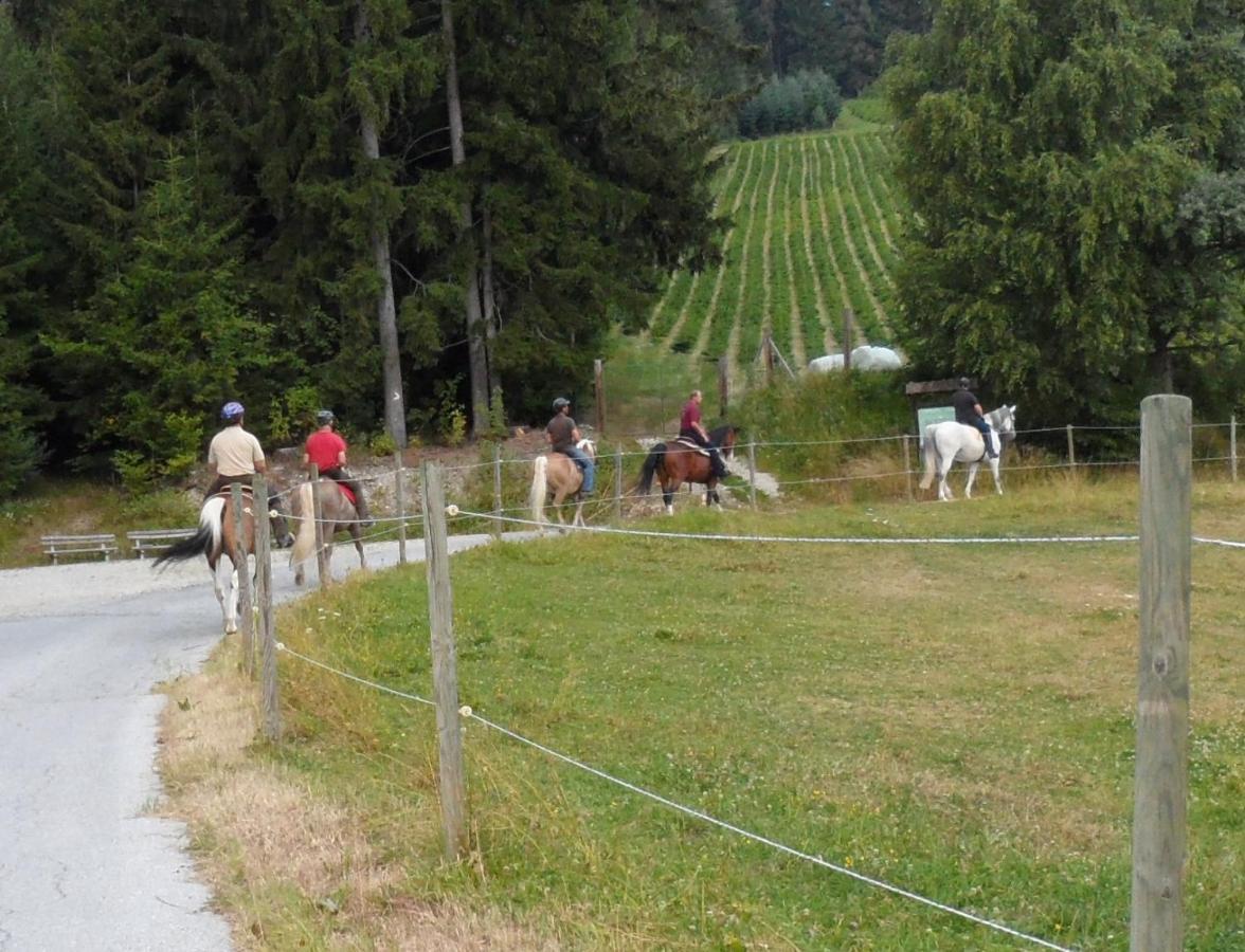 Urlaub Am Bauernhof Familie Kitting Villa Vorau Exteriör bild